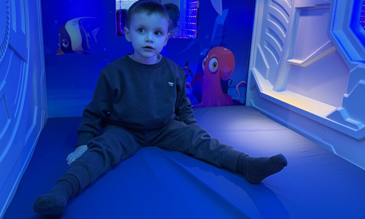 Mapp Sensory Pod