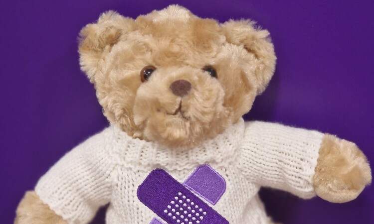 Kami Bear charity mascot cuddly!